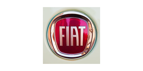 Client organisation logo